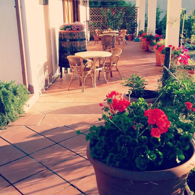 B&B Cilentum Agropoli Buitenkant foto